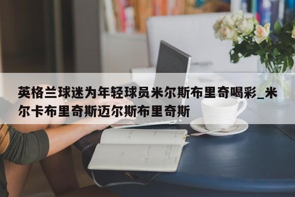 南宫娱乐-英格兰球迷为年轻球员米尔斯布里奇喝彩_米尔卡布里奇斯迈尔斯布里奇斯